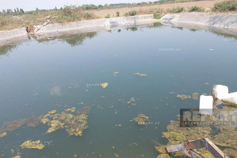 Lənkəranda 18 yaşlı şəxs göldə boğularaq ölüb