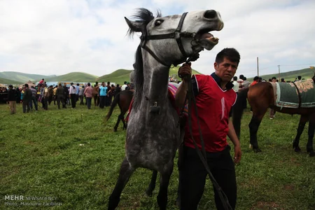 ​Qaradağ mahalında köçərilərin idman və mədəniyyət festivalı keçirilib
