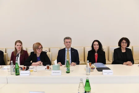 Almaniyalı deputatlar Böyük Qayıdışla bağlı məlumatlandırılıb