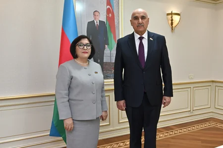 Azərbaycan və Tacikistanın iqlim dəyişikliyi ilə mübarizədə həyata keçirdiyi tədbirlər müzakirə olunub