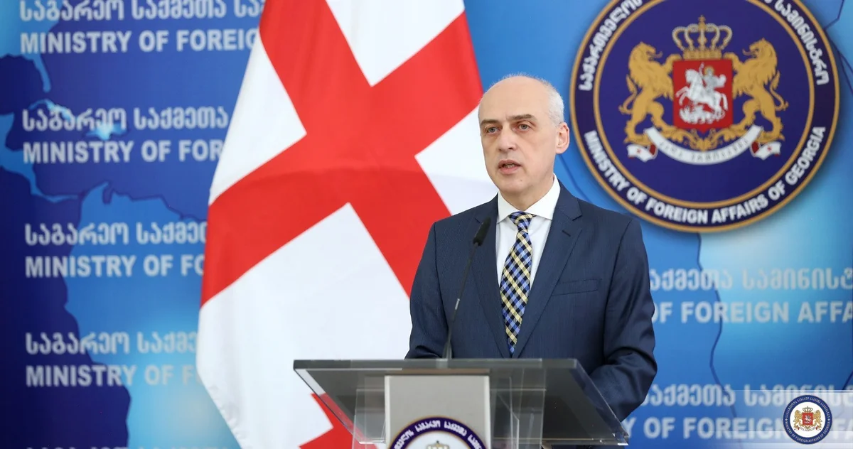 Georgian FM: Border delimitation process with Azerbaijan should not be misinterpreted