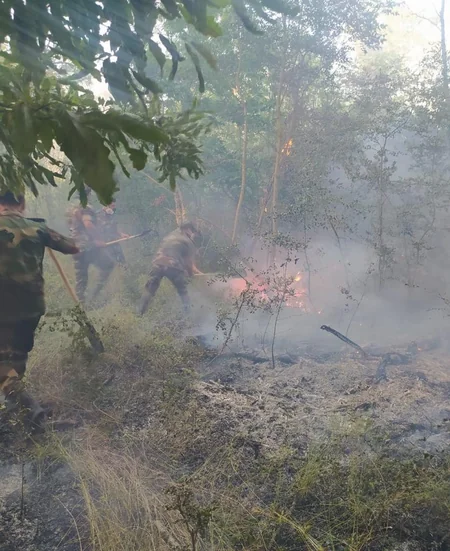 FHN ölkənin bəzi ərazilərində baş verən yanğınların səbəbini açıqladı