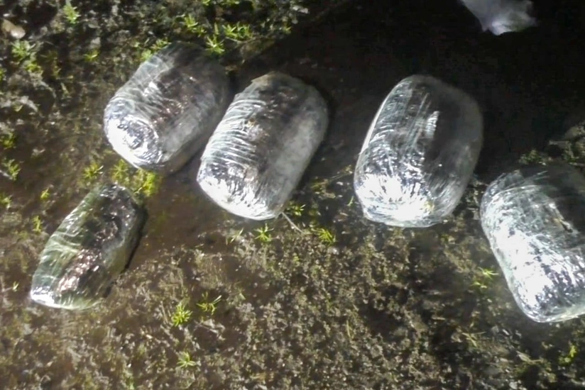 Masallı sakinindən 6 kq narkotik vasitə götürülüb