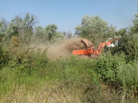 Cocuq Mərcanlıda gün ərzində 1 207 ədəd qəlpə aşkar edilib