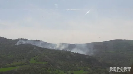 Qubada meşə ərazisində baş verən yanğın söndürülüb - YENİLƏNİB-2