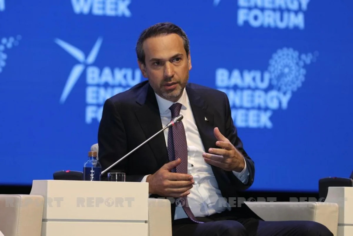 Alparslan Bayraktar: Son 20 ildə Türkiyənin təbii qaza olan tələbatı 3 dəfə artıb