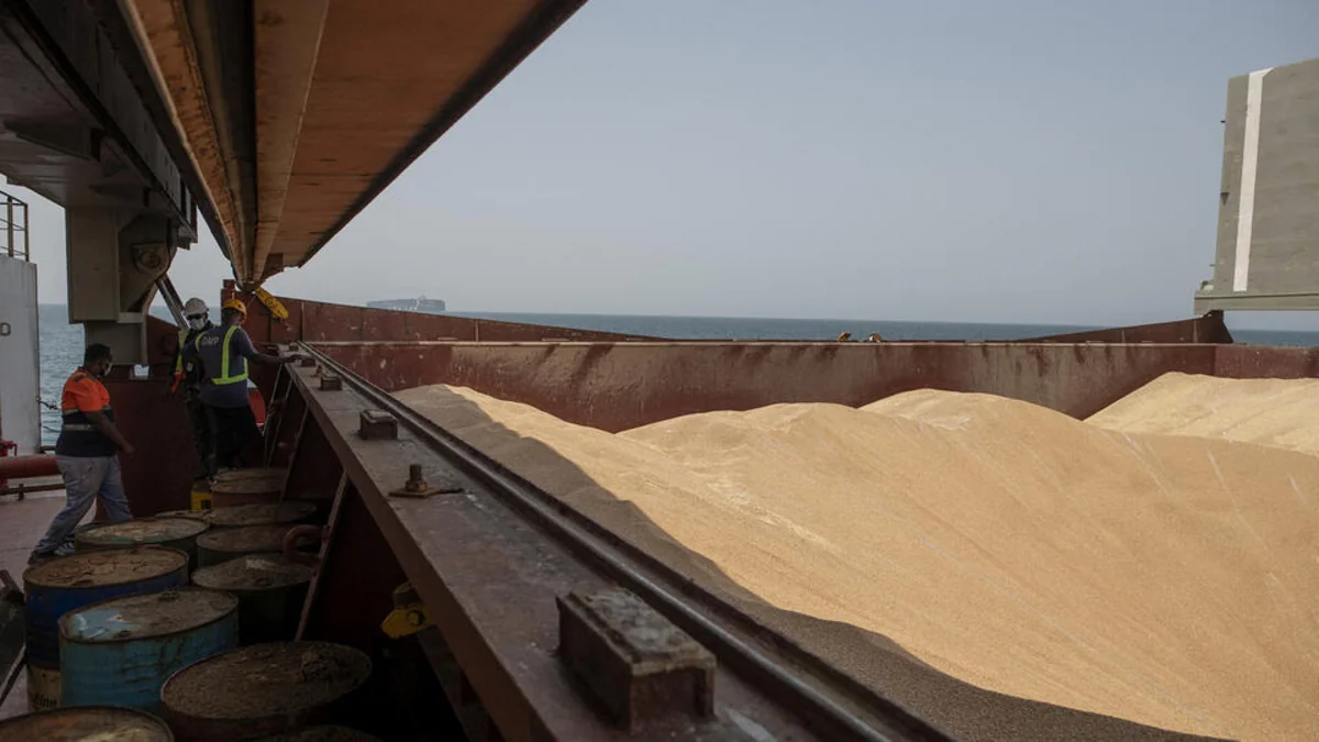 BMT taxıl müqaviləsi çərçivəsində gəmiləri yoxlamağa davam edəcək
