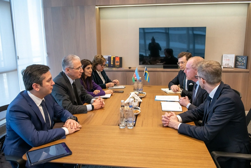 COP29 president meets Sweden’s chief climate negotiator