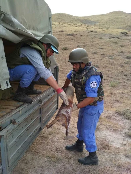 Xızıda iki ədəd partlamış raket tapılıb