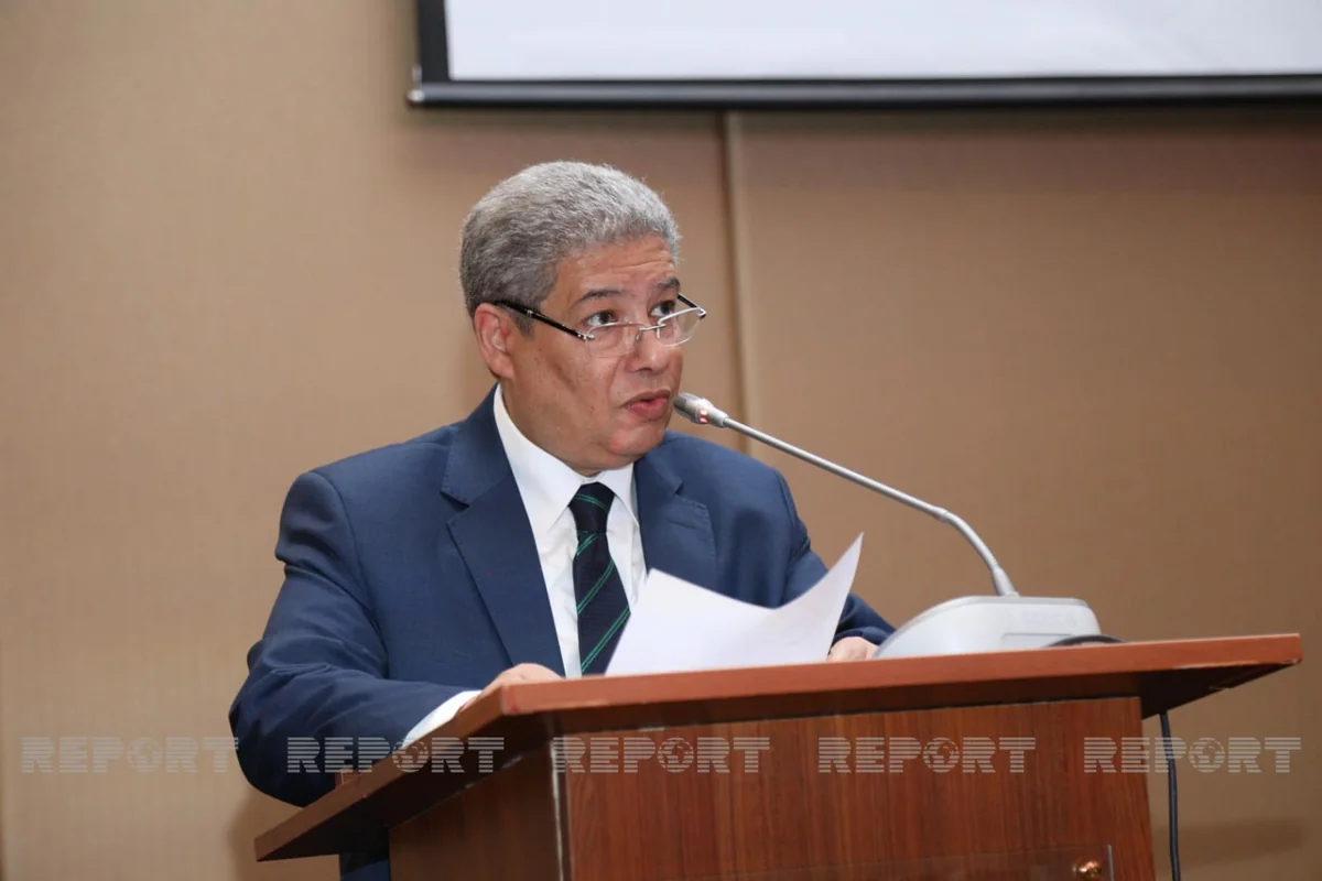 Egyptian envoy: Azerbaijan successfully chairs Non-Aligned Movement