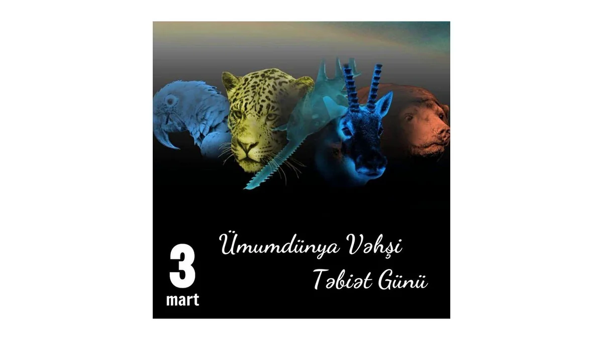 Ekoloq: Müharibə insanlarla yanaşı, təbiətə də ciddi ziyan vurur
