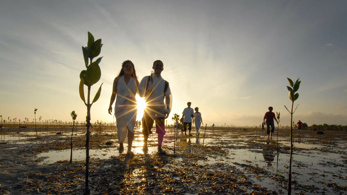 Philippines approve entry permit for vaccinated tourists