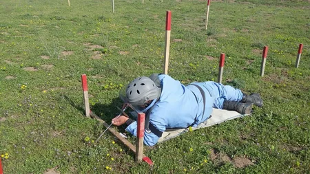 Cocuq Mərcanlıda gün ərzində 2793 ədəd qəlpə aşkar edilib