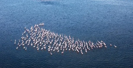 Директор Абшеронского нацпарка: Несмотря на колебания уровня воды, рельеф косы Шах-дили не меняется