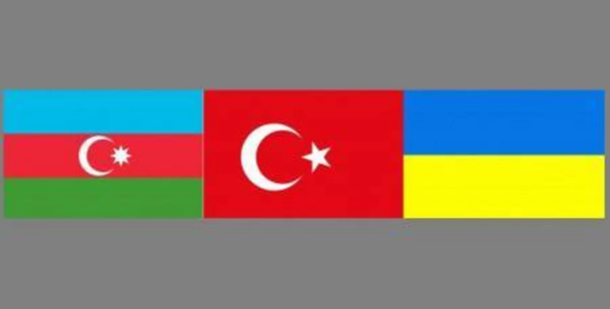Азербайджан, Турция, Грузия и Украина cоздадут контактную группу по борьбе с оргпреступностью