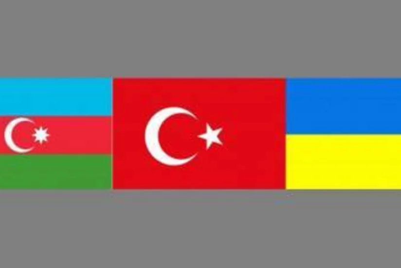 Азербайджан, Турция, Грузия и Украина cоздадут контактную группу по борьбе с оргпреступностью