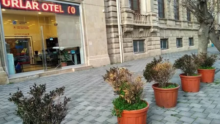 Bakı rayonlarının yaşıllaşma reytinqi müəyyən edilib - SİYAHI