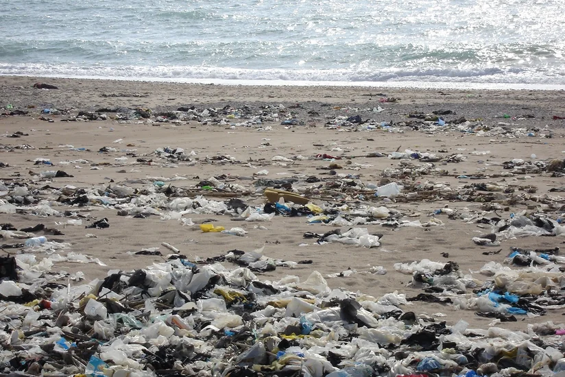 Şöbə müdiri: Xəzərdəki plastik çirklənmə ilə bağlı həyəcan təbili çalınmalıdır