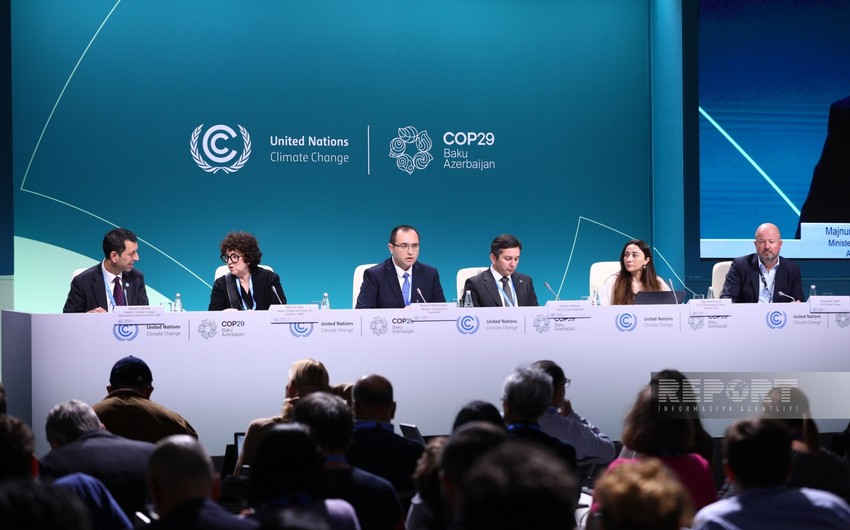 Məcnun Məmmədov: Azərbaycan Paris Sazişi üzrə öhdəliklərini yerinə yetirir
