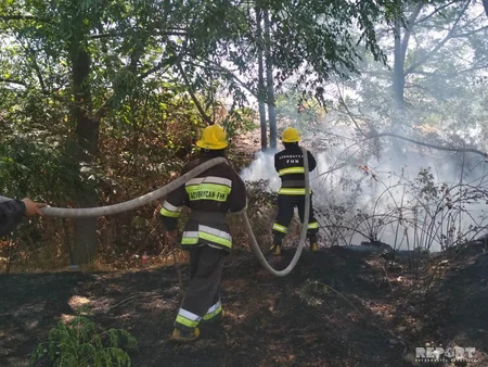 Bərdədə yanğın irigövdəli ağacları yararsız hala salıb - FOTO - VİDEO - YENİLƏNİB
