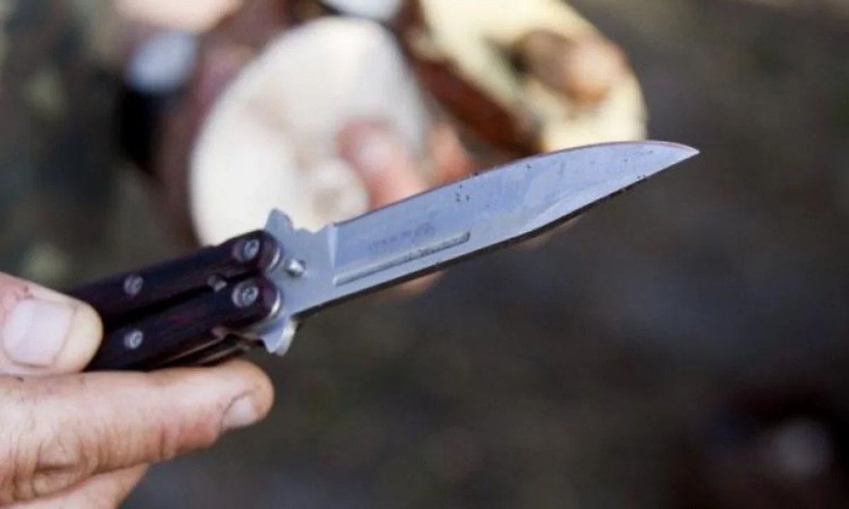 Bərdədə gənclər biri-birini bıçaqlayıb