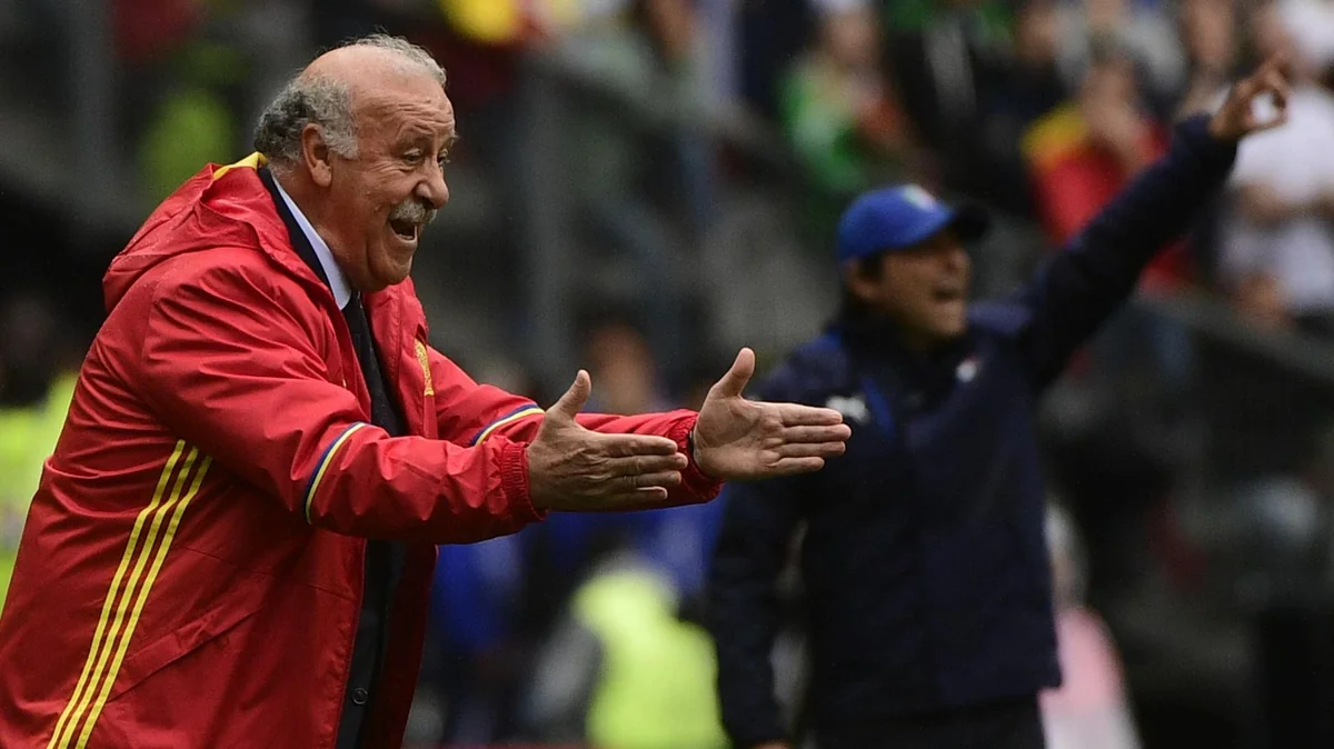 Spain team head coach del Bosque resigns