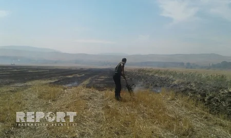 Şabranda biçilmiş əkin sahələrində baş vermiş yanğın söndürülüb - YENİLƏNİB - VİDEO