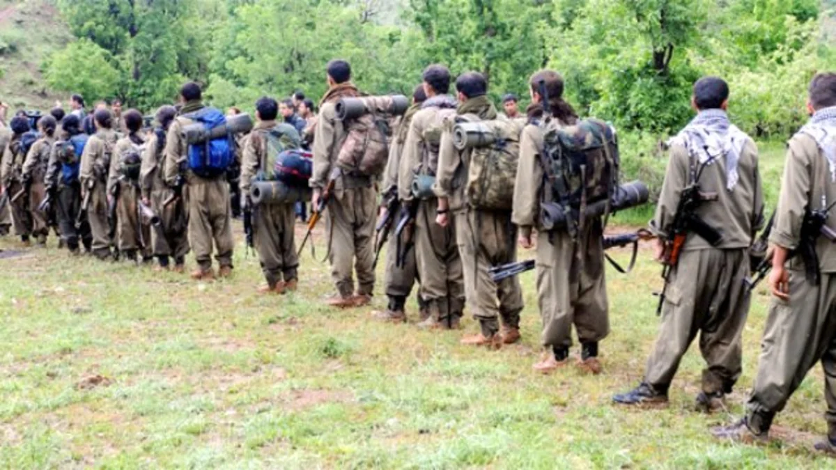 20 PKK terrorists surrender to Turkish security forces