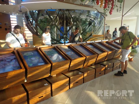 Павильон Азербайджана на выставке EXPO-2015 в Милане - ФОТОРЕПОРТАЖ