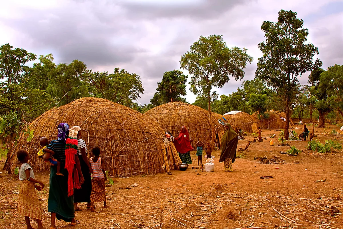 Lassa fever kills 102 people in Nigeria 