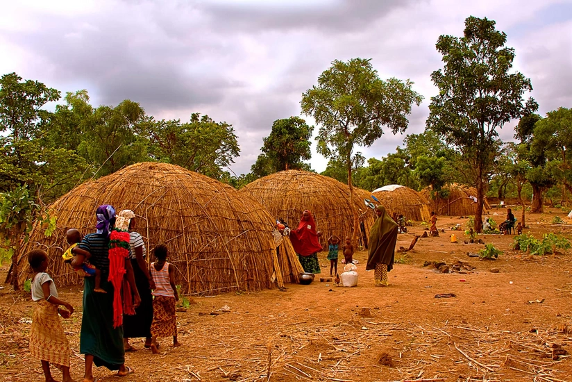 Лихорадка Ласса в Нигерии унесла жизни более 100 человек