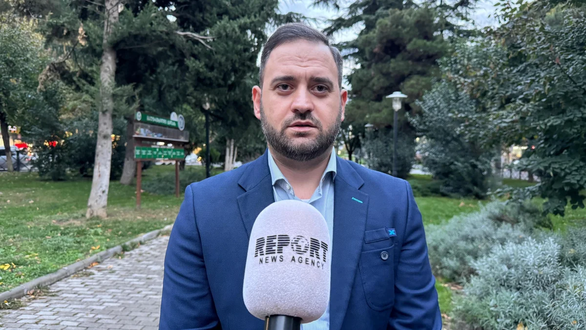 David Chikelidze: Western countries trying to discredit ruling party Georgian Dream