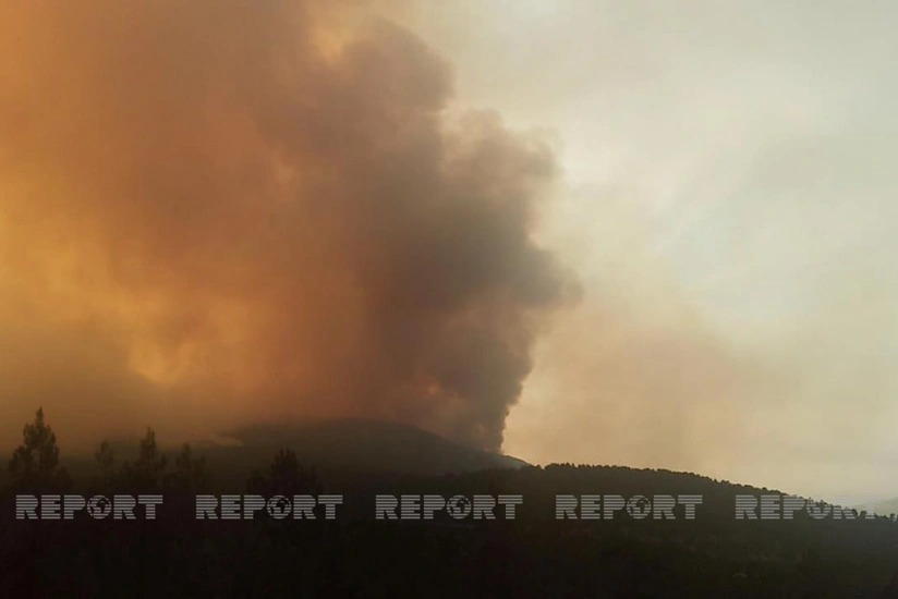 Azərbaycan yanğınsöndürənləri Muğlada yanğını söndürür