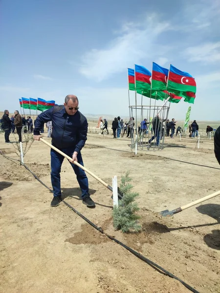 Heydər Əliyevin 100 illik yubileyi ilə əlaqədar ağacəkmə tədbirləri davam edir