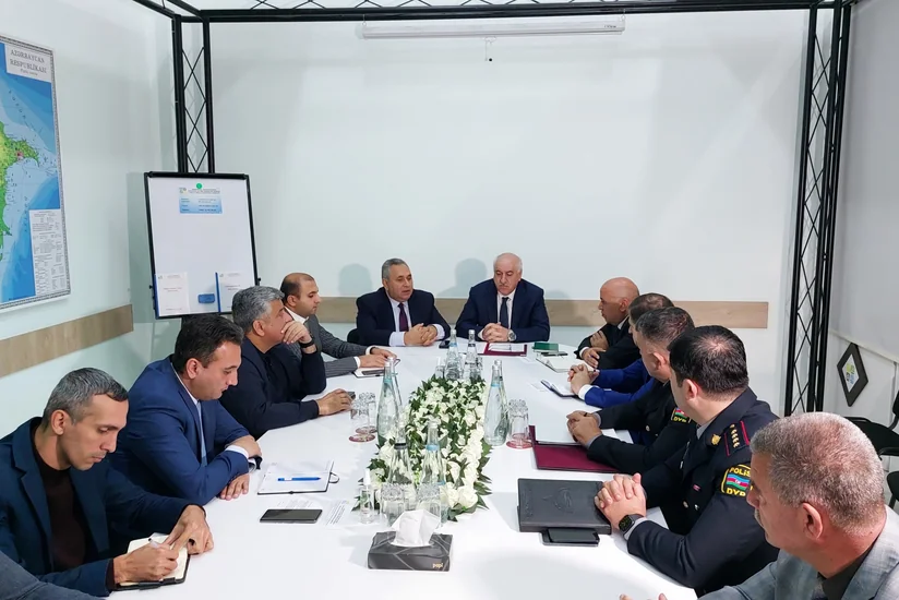 Bakıda yolun genişləndirilməsi ilə əlaqədar yaşıllıqlar köçürüləcək