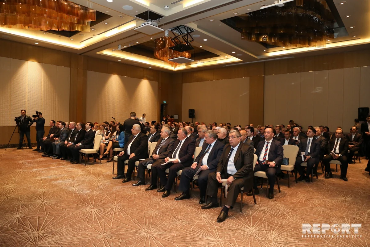 Şəki İpək yun istehsalına başlaya bilər