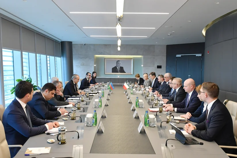 Azerbaijan, Poland mull prospects of economic cooperation