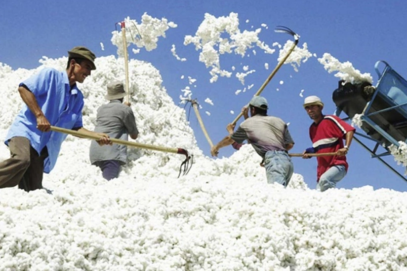 Azərbaycan qeyri-neft məhsullarının ixracını 13% artırıb - YENİLƏNİB