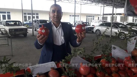 Kürdəmirdə Nar Sərgi-Satış Yarmarkası keçirilib