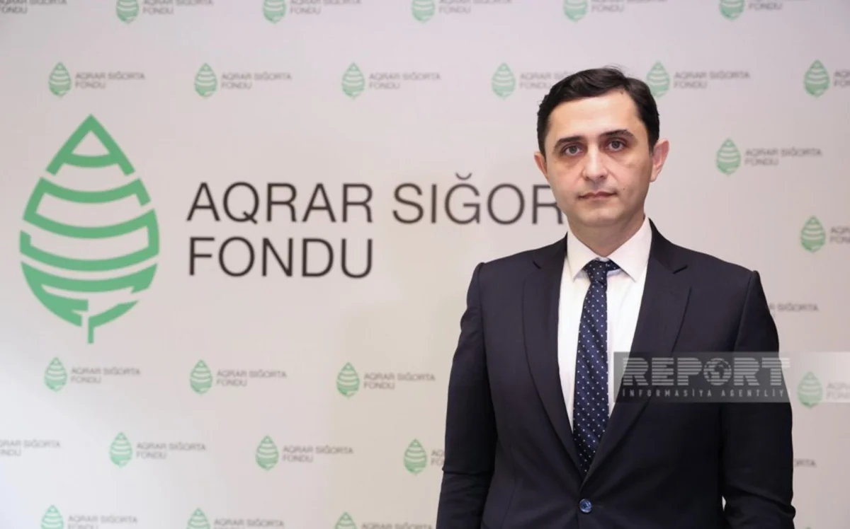 Sığorta təminatı olan aqrar təyinatlı ərazilərin xüsusi çəkisi artırılacaq
