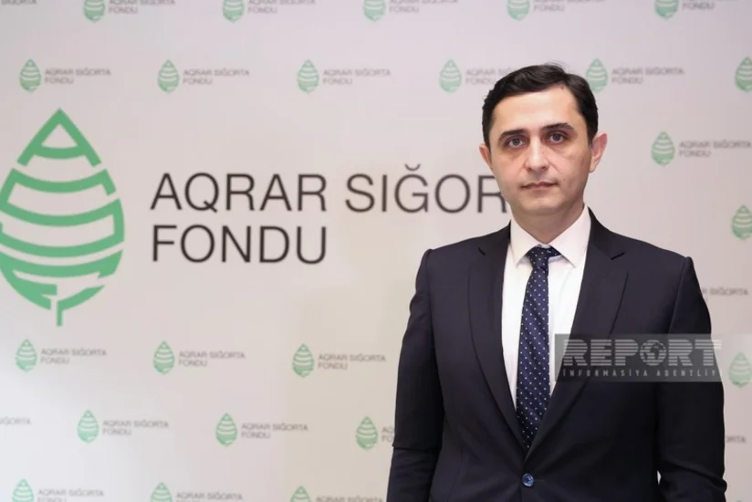 Sığorta təminatı olan aqrar təyinatlı ərazilərin xüsusi çəkisi artırılacaq