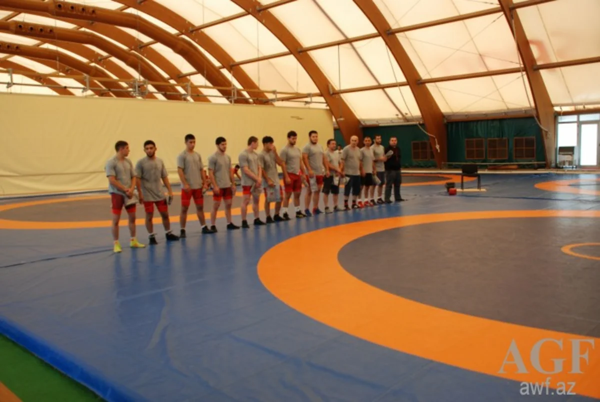 Gənclərdən ibarət sərbəst güləş yığmamız təlim-məşq toplanışını davam etdirir