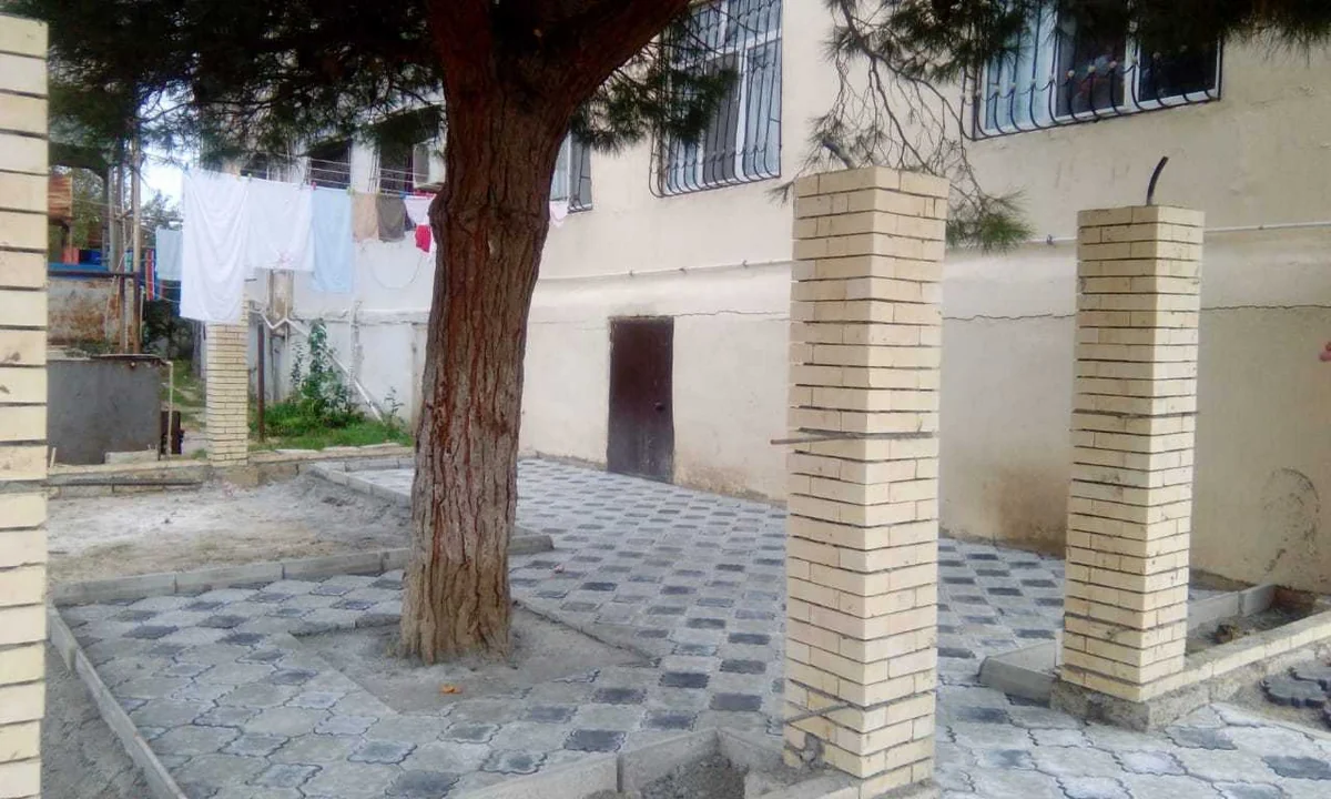 Nazirlik Bakıda ağacın dibini betonlayan şəxsi cəzalandırıb