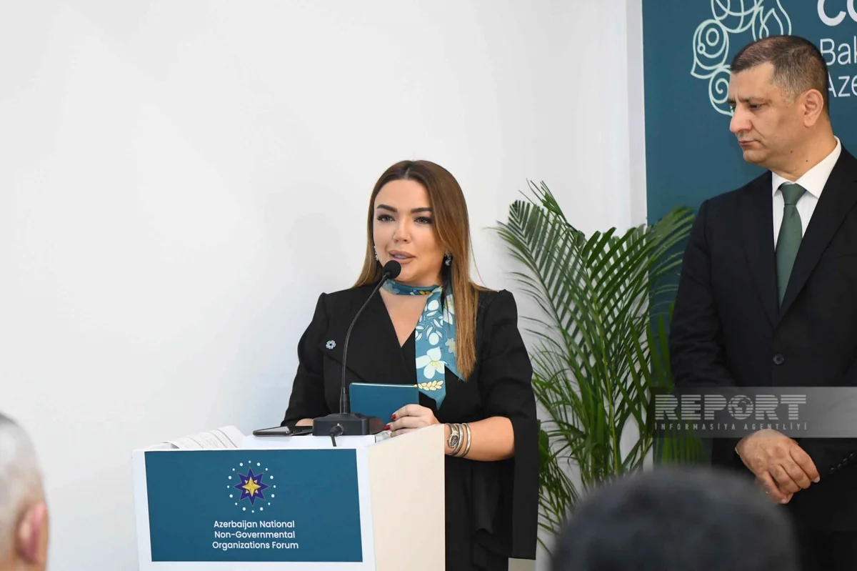 NGOs from Turkic states discuss joint climate initiatives at COP29