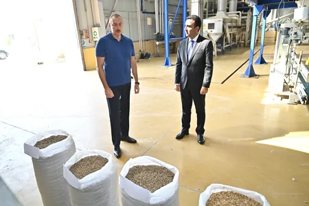 Ilham Aliyev gets acquainted with activities of Agsu Agropark
