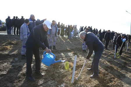 Tree-planting campaign held on 30th anniversary of New Azerbaijan Party