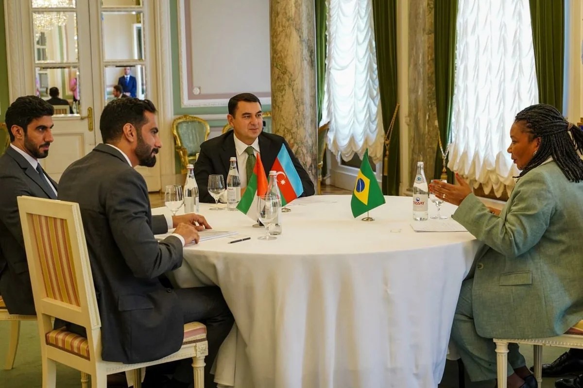 Ministers of Brazil, UAE hail preparations for COP29