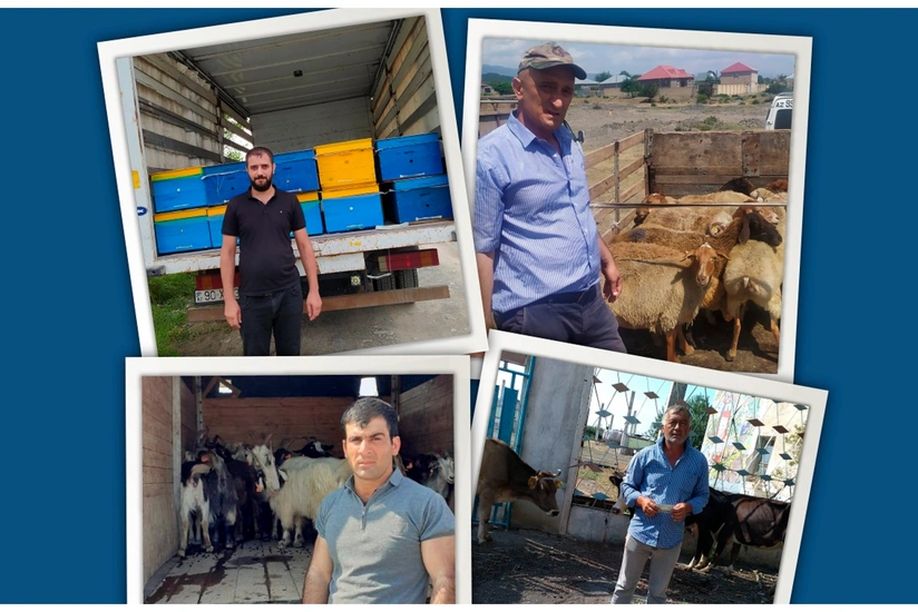 Özünüməşğulluq proqramı çərçivəsində daha 805 şəxsə aktivlər verilib