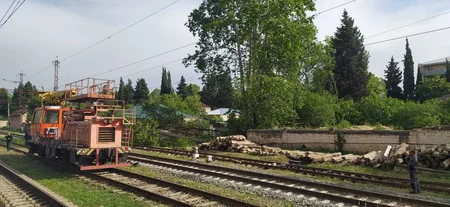 Tovuzda külək iri gövdəli ağacı dəmir yoluna aşırıb