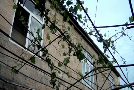 Yevlaxda keçmiş məhkum özündən 20 yaş kiçik arvadını qətlə yetirməkdə şübhəli bilinir - YENİLƏNİB